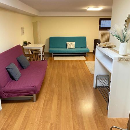 Ruhiges Privates Zimmer In Freiburg, Zentrumsnah, Naehe Europapark Dış mekan fotoğraf